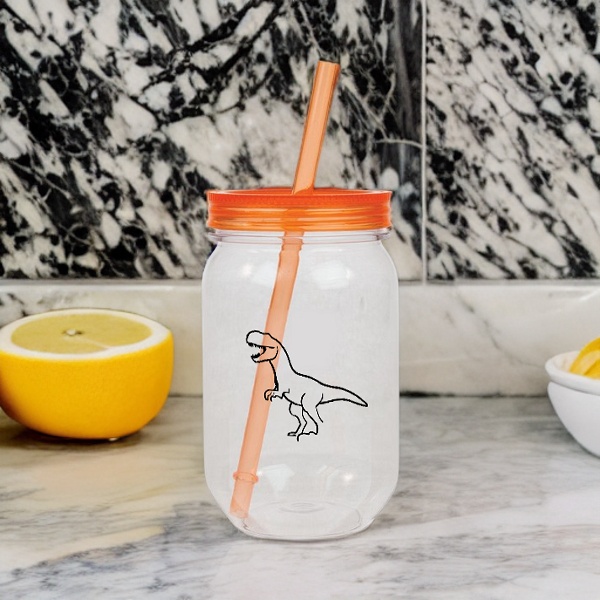 Dinosaur-Bulk Custom Printed 24oz Mason Jar Acrylic Tumbler with Straw