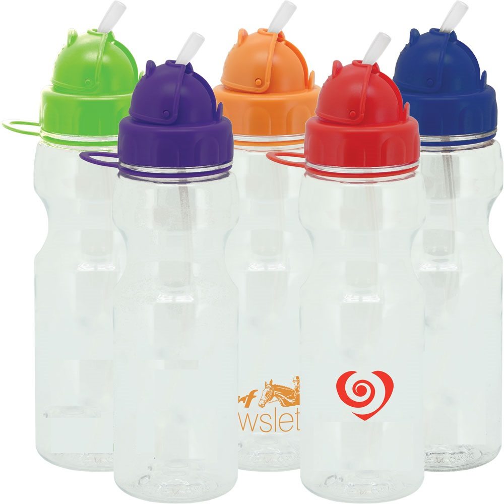 Porpoise- Bulk Custom Printed 24oz Water Bottle with Flip Lid - Campfire  Premiums